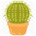 Barrel Cactus Desert Plant Cactus Family Icon