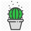 Barrel cactus  Icon