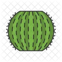 Barrel Cactus  Icon