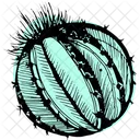 Barrel Cactus  Icon
