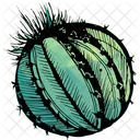 Cactus Dry Climate Icon