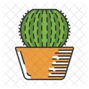 Barrel Cactus In Pot  Icon