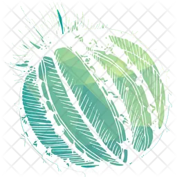 Barrel Round Cactus  Icon