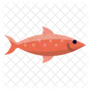 Barrier  Icon