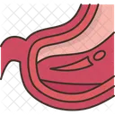 Barriga  Ícone