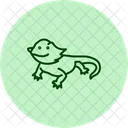 Bärtiger Drache  Symbol