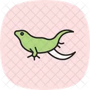 Bärtiger Drache  Symbol
