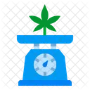 Bascula De Marihuana Bascula De Marihuana Bascula De Marihuana Icono