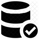 Base De Datos Con Marca De Verificacion Icono