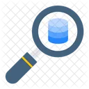 Base De Datos Busqueda Servidor Icon