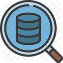 Buscar Base De Datos Buscar Base De Datos Icon