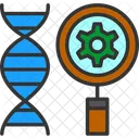 Base  Icon