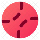 Baseball Ball  Icon