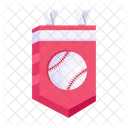 Baseball Banner Baseball Flag Baseball Emblem Icon