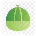 Baseball Cap Sports Icon