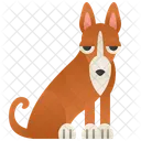 Basenji  Ícone