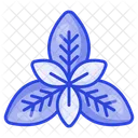 Basil Spice Leaf Icon
