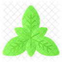 Basil Spice Leaf Icon