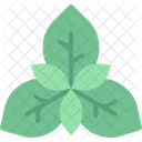 Basil Leaf Vegan Icon