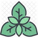 Basil Leaf Vegan Icon