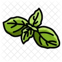 Basil Herbs Spices Icon