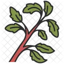 Basil Fresh Herb Icon