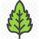 Basil Leaf Nature Icon