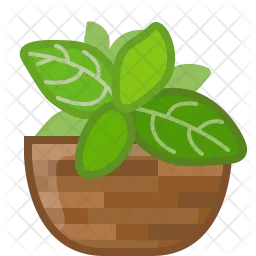 Basil  Icon