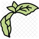 Basil Herb Handmade Herb Icon