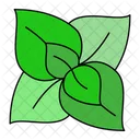 Herb Leaves Mint Icon