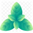 Basil Healthy Food Icon
