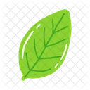 Leaf Ash Leaf Beech Leaf Icon