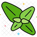Basil  Icon