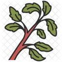 Basil  Icon