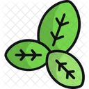 Basil  Icon