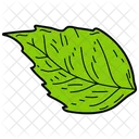 Basil Leaf Leaf Foliage Icon