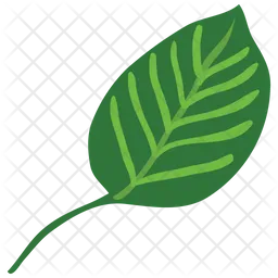 Basil Leaf  Icon