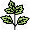 Basil Leaf Basil Leaf Icon