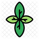 Basil Leaf  Icon