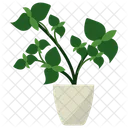 Basil Potted Plant Icon
