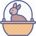 Rabbit Bunny Chocolate Icon