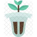 Baskets Pot Plant Icon