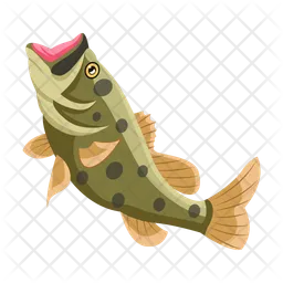 Bass Animal  Icon