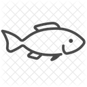Bass Fish Fish Life Icon