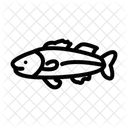 Bass Fish Sea Icon