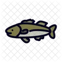 Bass Fish Sea Icon