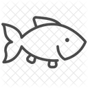 Bass Fish Fish Life Icon