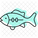 Bass Ocean Marine Icon