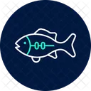 Bass Ocean Marine Icon