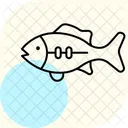 Bass Ocean Marine Icon